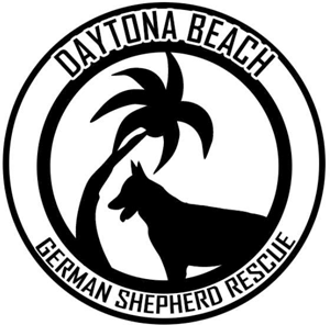 Daytona Beach German Shepherd Rescue: A Journey of Love and Hope