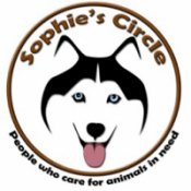 Sophie's Circle